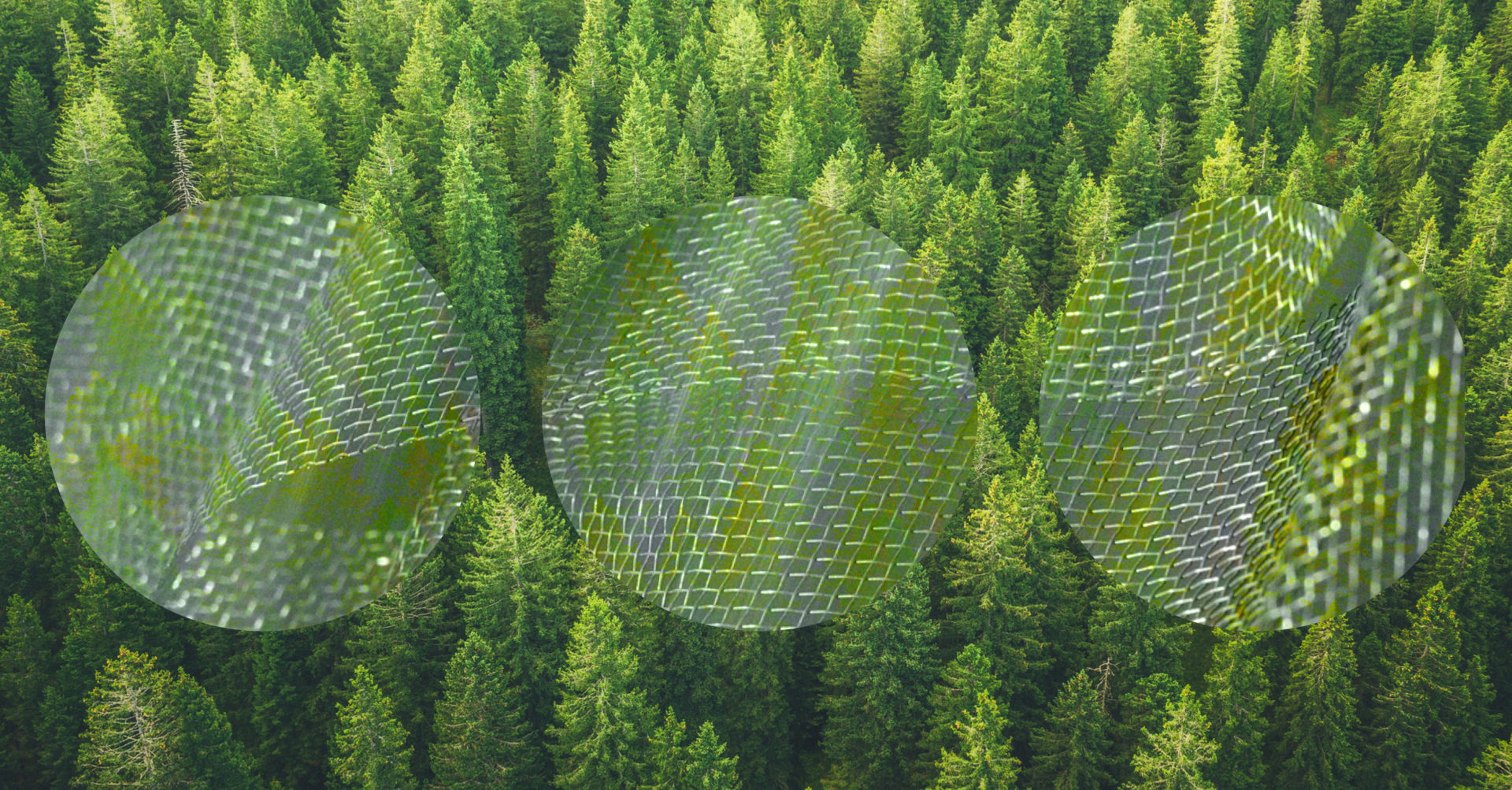 MWCapital AWARDS — Fase de convocatòria