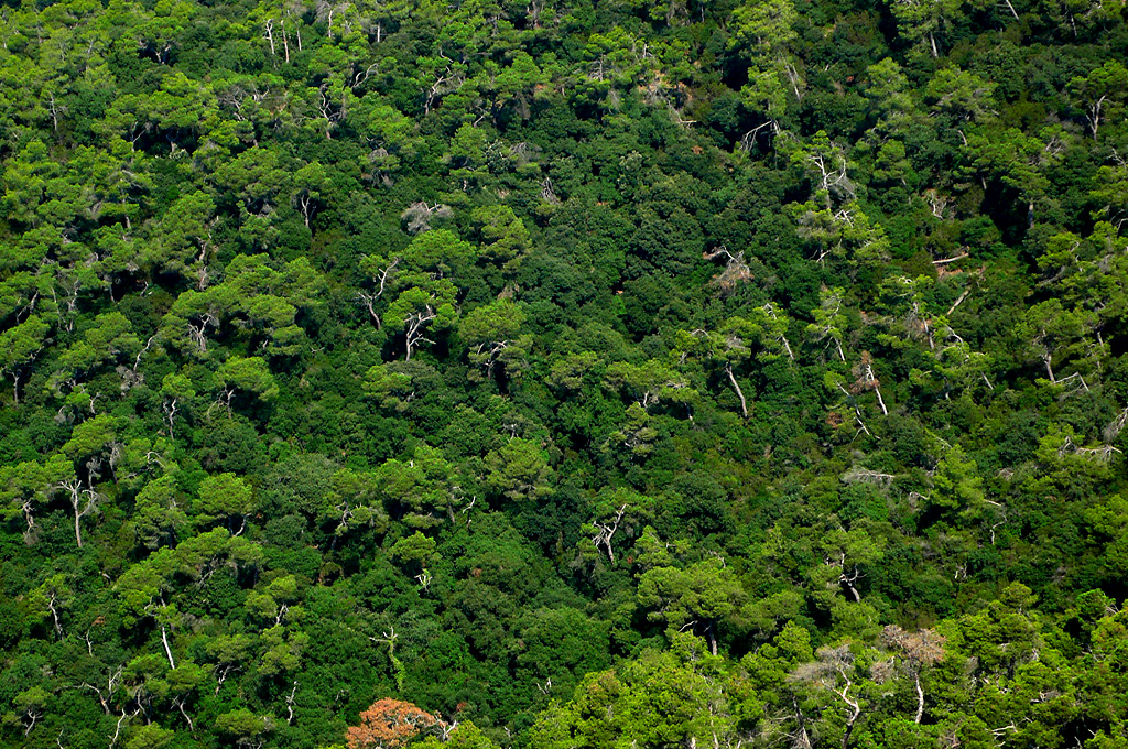 De la Amazonía a Barcelona: comunidad, tecnología y resiliencia en un año marcado por el fuego